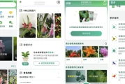 PictureThis Plant Identifier 植物识别软件 v4.4 简洁无广告