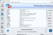 系统优化工具 WinTools.one Pro v25.5.1 中文绿色便携版
