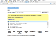 Wireshark中文版(网络抓包工具) v4.4.2 多语便携版