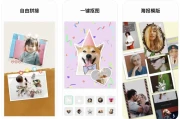 InCollage 照片拼接拼图编辑 v1.48.247 解锁专业版