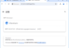 Ungoogled-Chromium v135.0.7049.114-1.1 中文绿色版