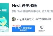 掘金小册 Nest 通关秘籍，205章完整版
