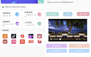 无印 v1.7 视频解析去水印工具