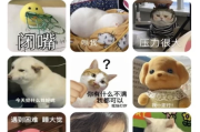 AniCh壁纸 v1.1 解锁去广告
