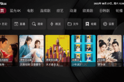 TVBox官方最新版(takagen99版): v20240929-1529 - 好用的电视直播与影视点播软件，附最新接口地址 [安卓]