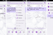 APM 第三方Bilibili音频播放器 v3.3.2