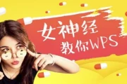 网易云课堂教程：女神经叫你玩WPS（共50课）